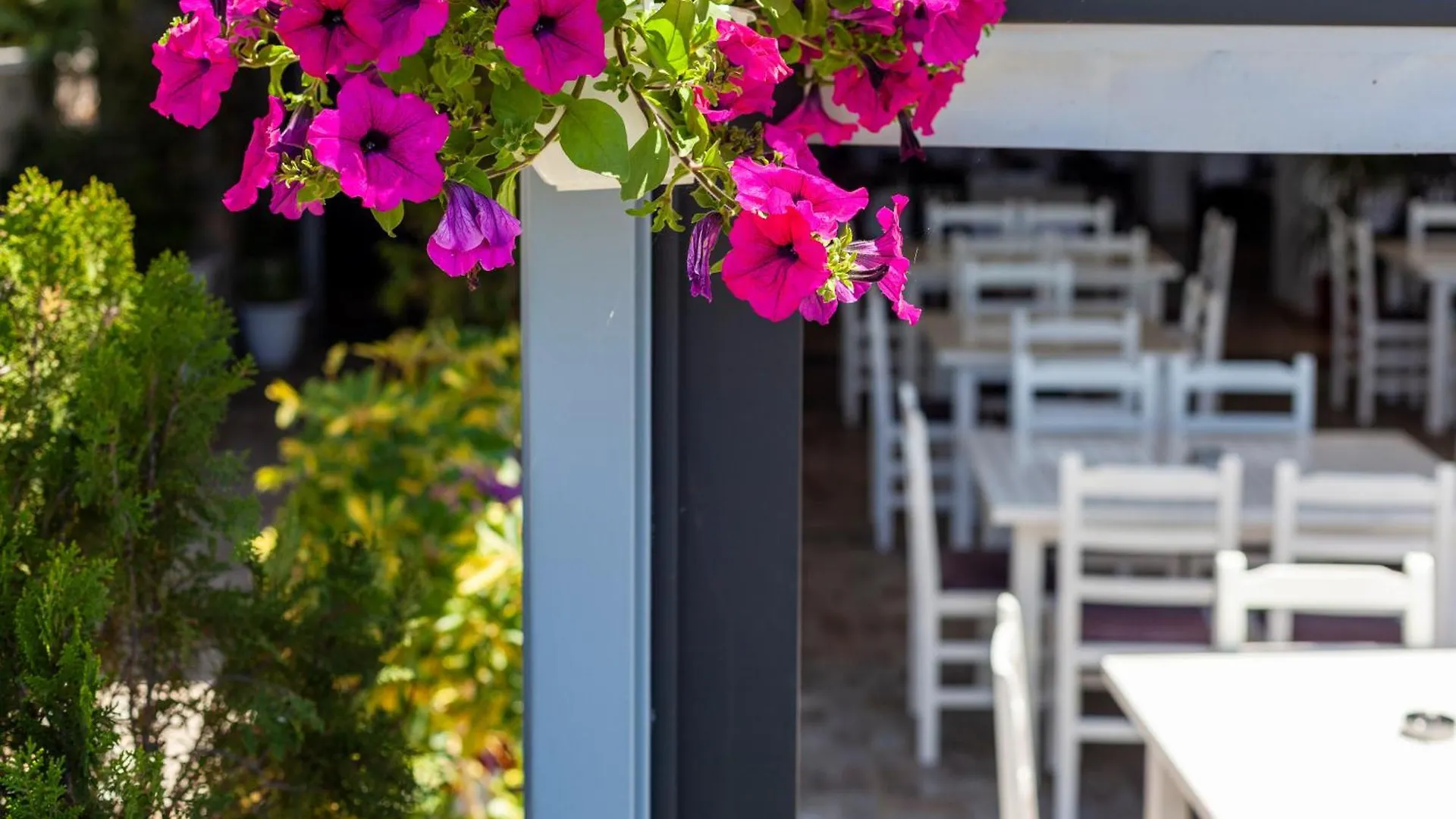 Dhima Hotel Himare